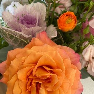 Meet your Posher, Rachael